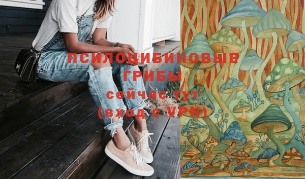 2c-b Балахна