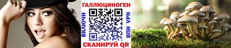 Купить  Новая Ладога  Галлюциногенные грибы мицелий 