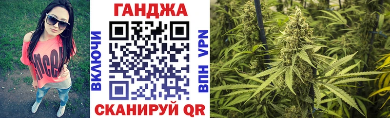 Купить где Новая Ладога Бошки Шишки семена